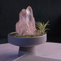 Rose Quartz Cluster