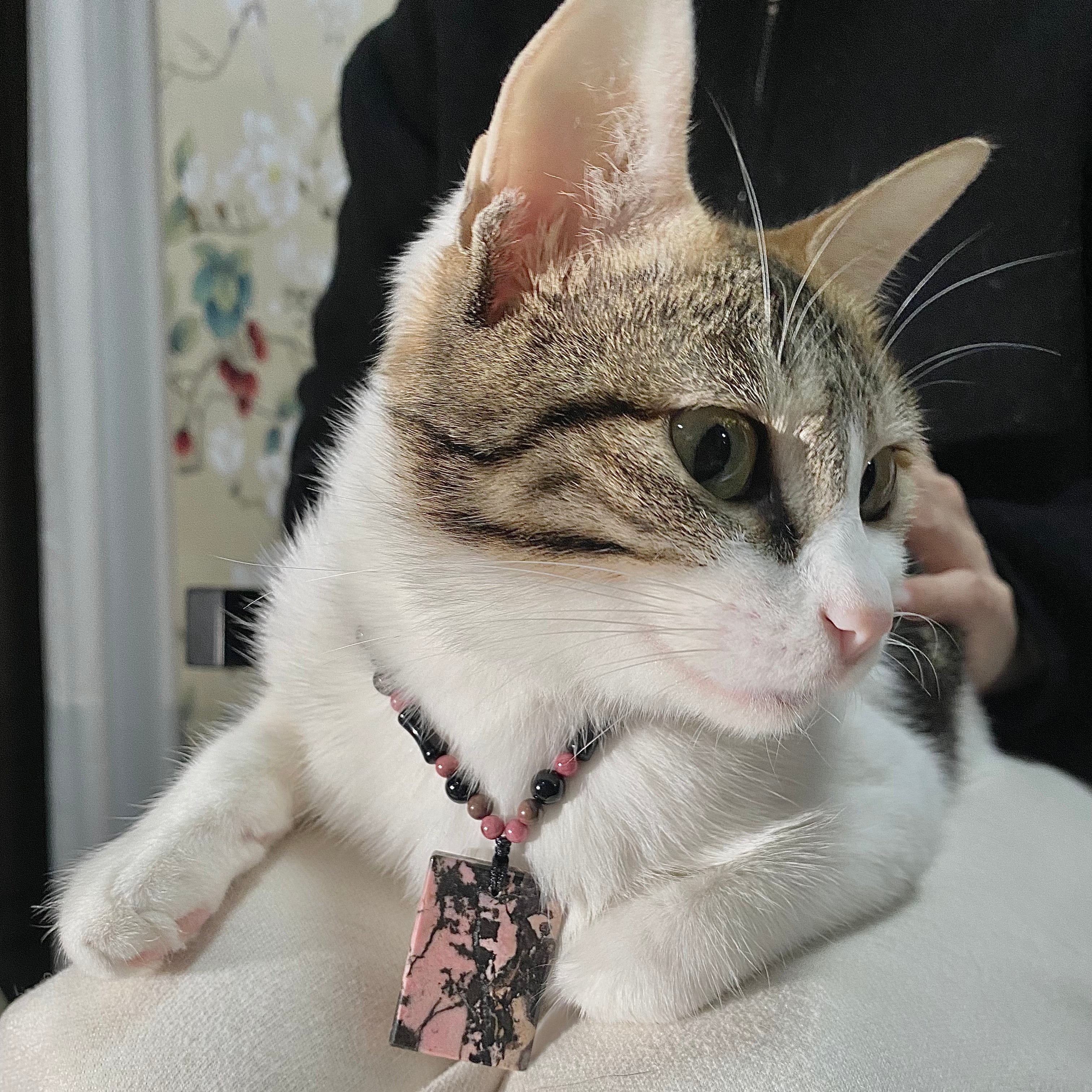 Rose Petalite "Wu Shi Pai" Pendant – One and Only - Looziivet