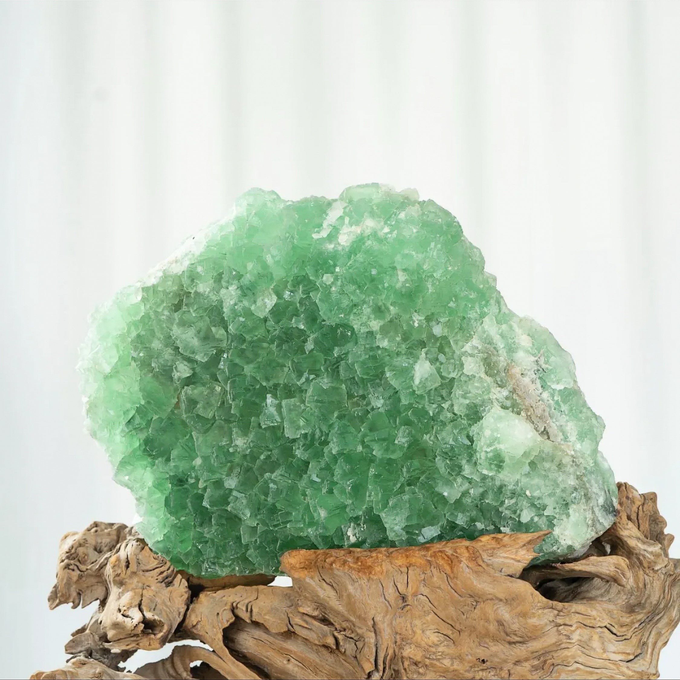 The Verdant Spirit - Looziivet