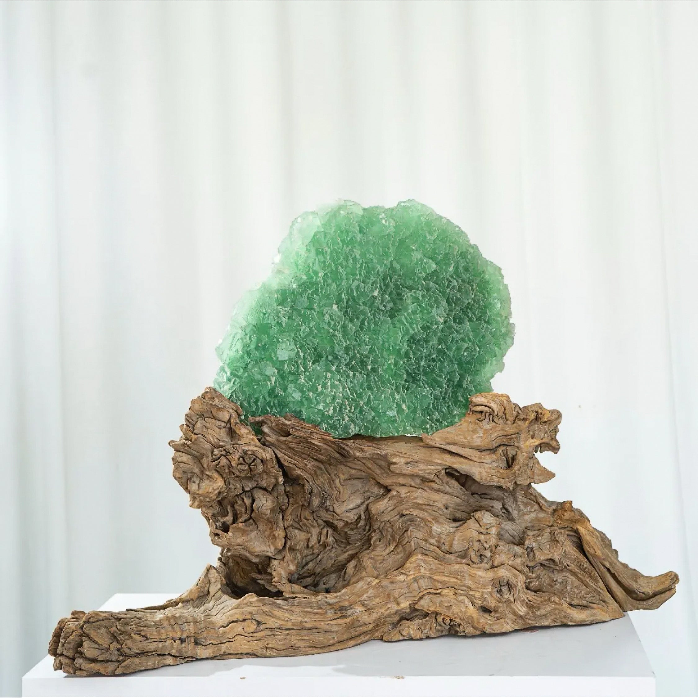 The Verdant Spirit - Looziivet