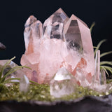 Sakura Blizzard - Looziivet