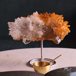 Auspicious Snow in Golden Autumn - Looziivet