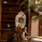 Forest WhisperPure Brazilian Quartz on Ancient Wood - Looziivet