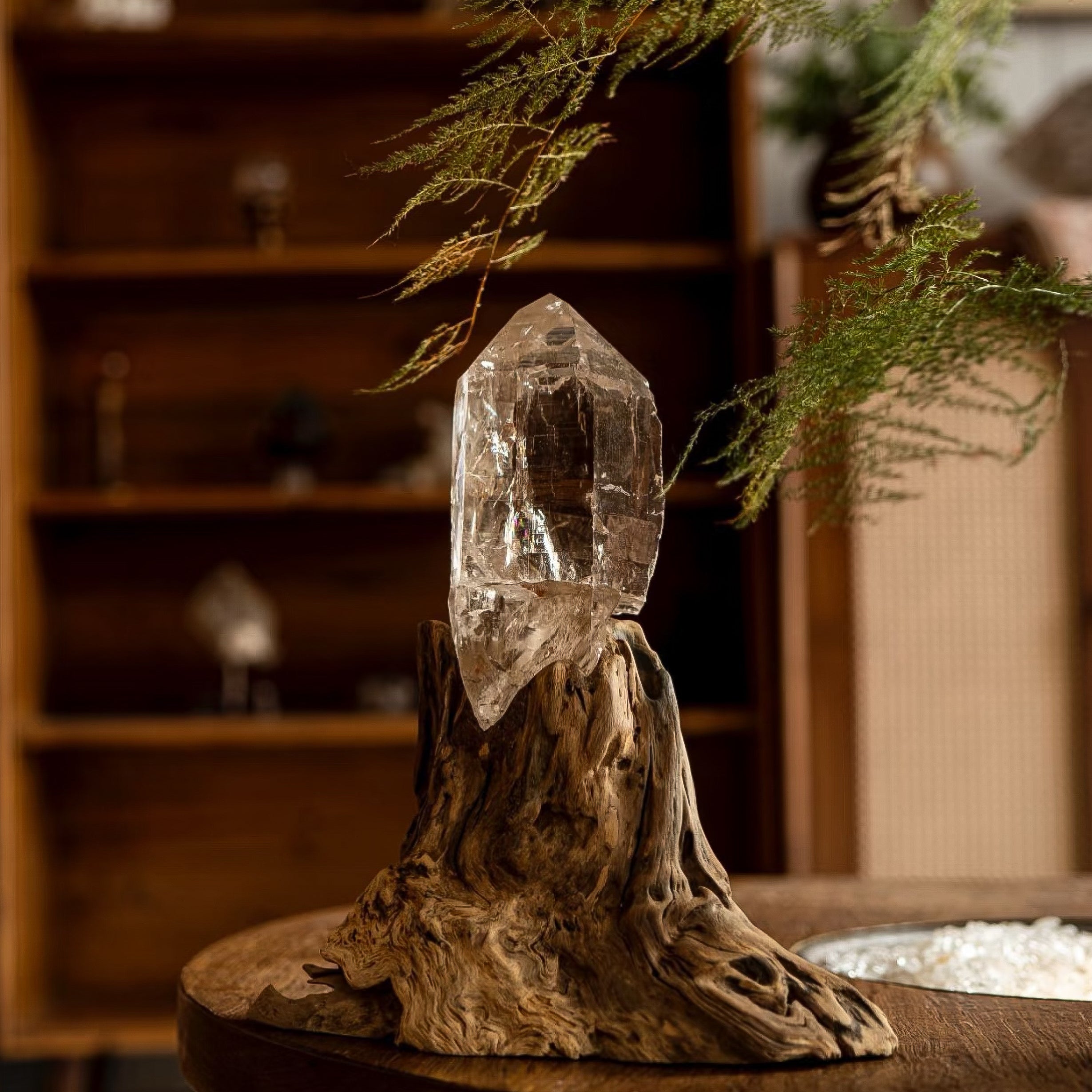 Forest WhisperPure Brazilian Quartz on Ancient Wood - Looziivet