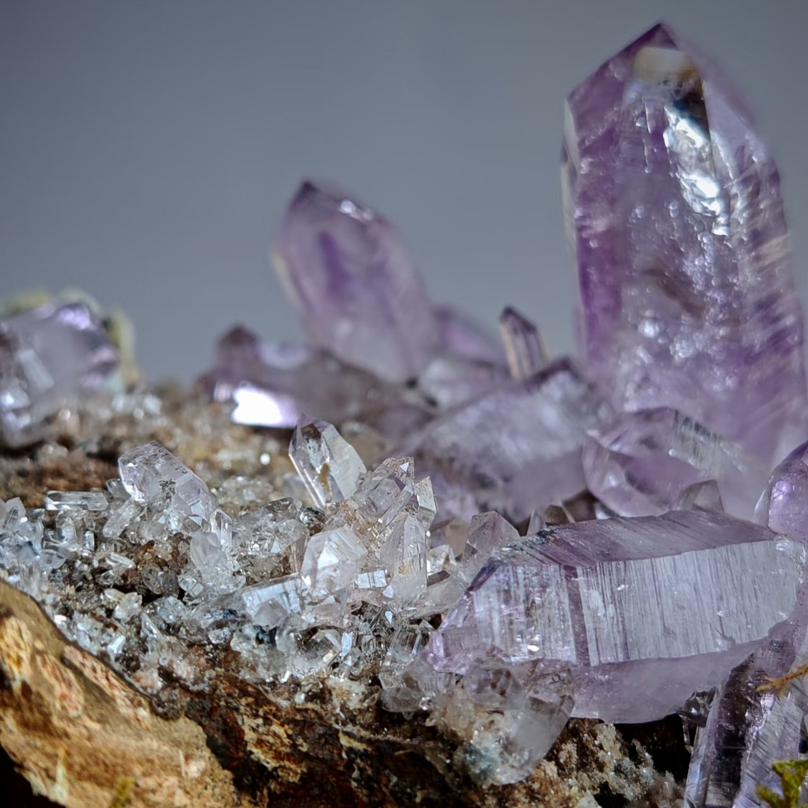 Royal Violet – Natural Cruz Amethyst Cluster on Matrix - Looziivet
