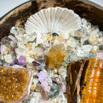 Money Bowl Money Bloom - Looziivet