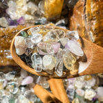 Money Bowl Money Bloom - Looziivet