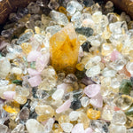 Money Bowl Money Bloom - Looziivet