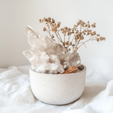 Lemurian Quartz Cluster Miniature Planter - Looziivet